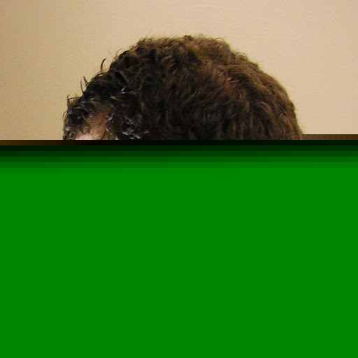 Jason Gregory Photo 5