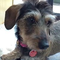 Jan Johnston Photo 31