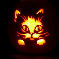 Cynthia Bowling Photo 23