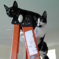 Julie Landry Photo 11