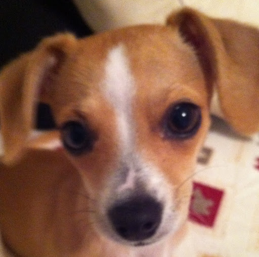 Jennifer Lassiter Photo 12