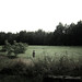 Tom Nims Photo 23