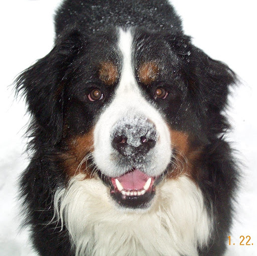 Darlene Taylor Photo 24