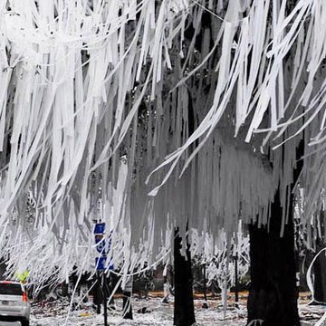 David Pritchett Photo 30