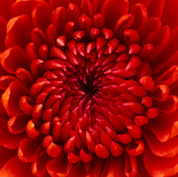 Julia Storey Photo 10