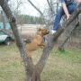 Dustin Rutledge Photo 10