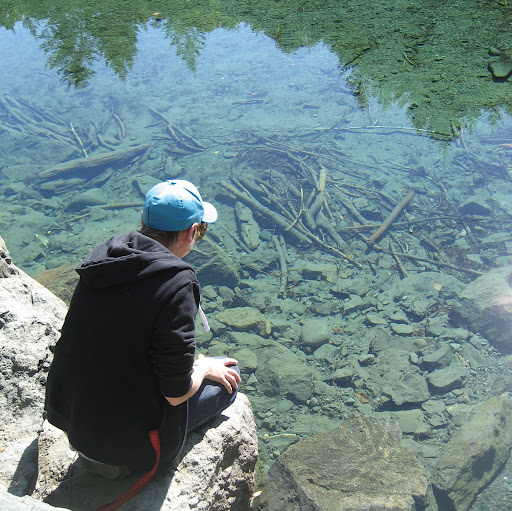 Jill Murray Photo 18