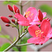 Lan Phan Photo 17