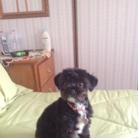 Janet Stalnaker Photo 4