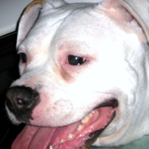 Gail Higgins Photo 23