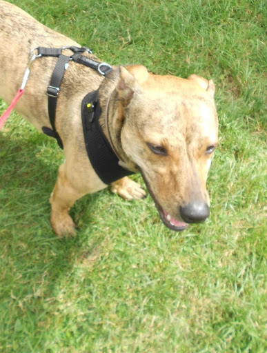 Jeff Lucas Photo 8 Jeff Lucas Photo 8