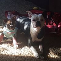 Mitchell Wagner Photo 32