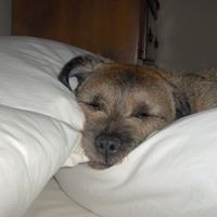 Lynda Whiting Photo 4