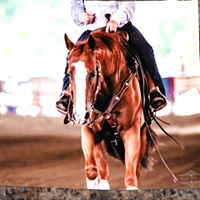 Nancy Moffitt Photo 29