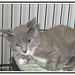 Terrance Foster Photo 24