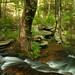 John Heber Photo 21