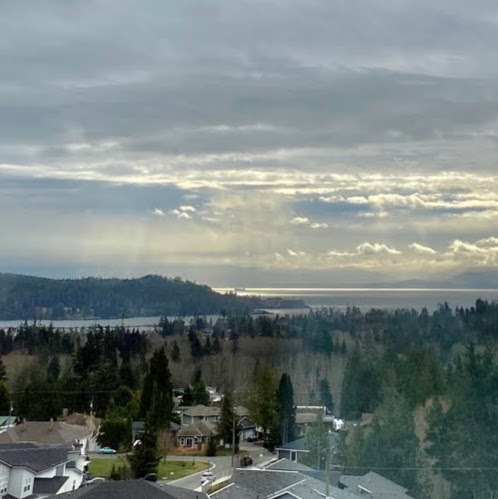 Cynthia Field Photo 24