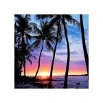 Katherine Shaffer Photo 2