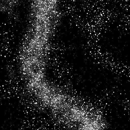 Barry Robinson Photo 25