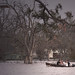 John Zink Photo 47