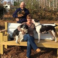 Christine Barfield Photo 10