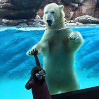 Rebecca Nesbitt Photo 4