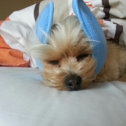 Kirsten Browne Photo 3