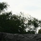 Elise Brown Photo 23