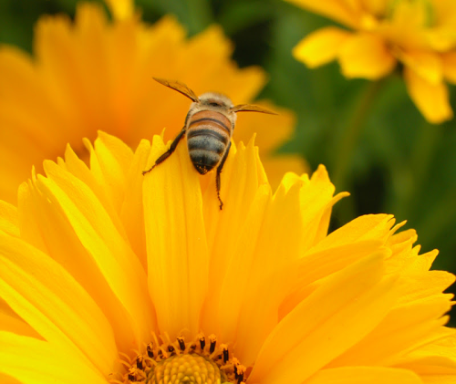 Suzanne Vargas Photo 14