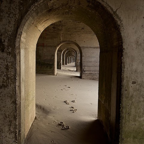 Sharon Pence Photo 3