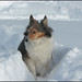 Aimee Snow Photo 6