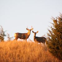 Cindy Markham Photo 11