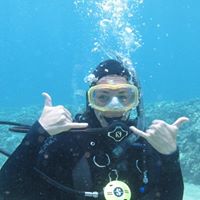 Susan Irvine Photo 8