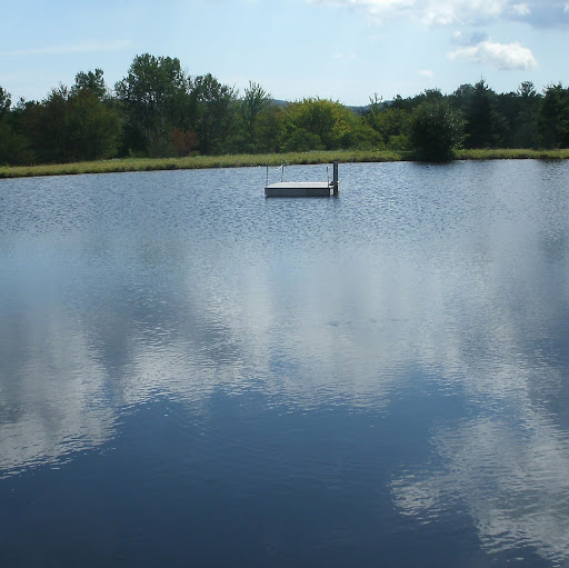 Theresa Snow Photo 16