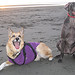 Jerry Shepherd Photo 22
