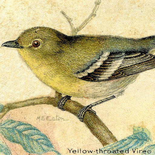 Claudia Small Photo 6