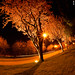 Luis Silverio Photo 33