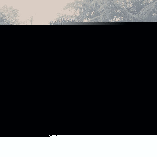 Edwin Rivera Photo 37