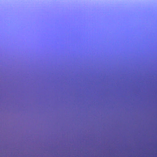 Maxine Levy Photo 11