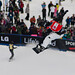 Robert Fagan Photo 16