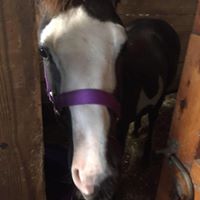 April Patrick Photo 31