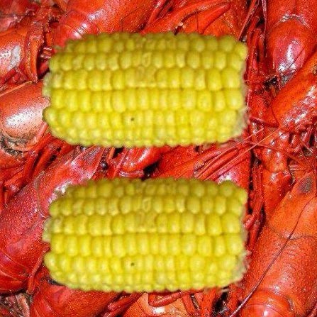 Jennifer Odell Photo 28