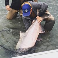 David Stanley Photo 15 David Stanley Photo 15