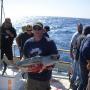 Robert Strader Photo 36