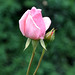 Elizabeth Minter Photo 11