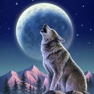 Jose Carrion Photo 47 Jose Carrion Photo 47