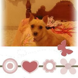 Elizabeth Restrepo Photo 16