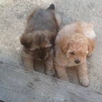 Angela Breland Photo 23