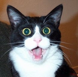 Benjamin Davis Photo 53 Benjamin Davis Photo 53