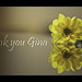 Gina Smart Photo 22
